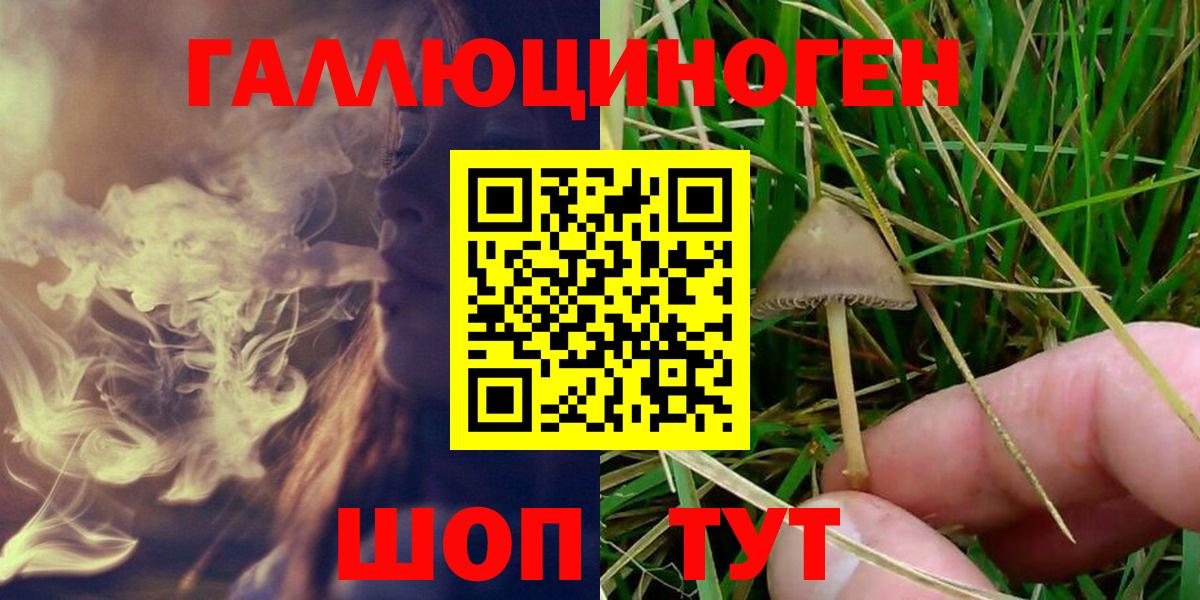 Псилоцибиновые грибы Cubensis Можга